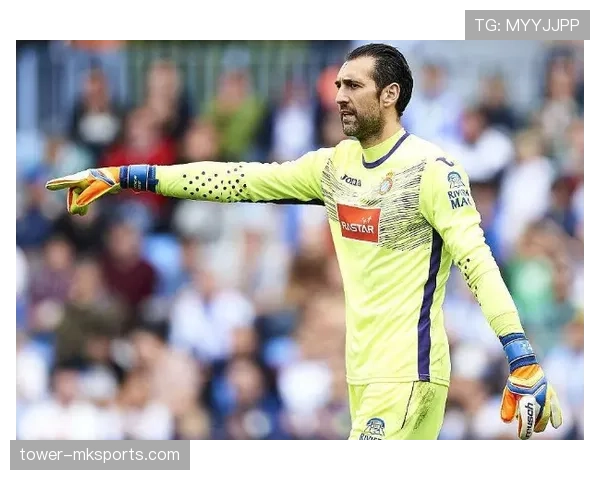 秘鲁队后防线展现稳健表现