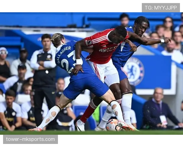 萨里重返英超赛场,状态回暖迎新挑战