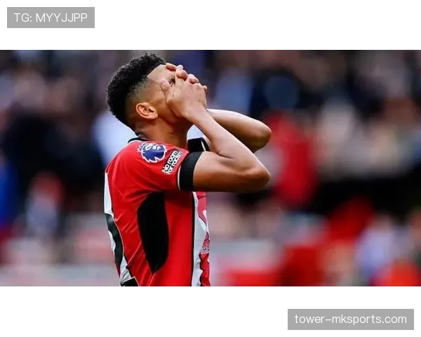 英超谢菲尔德联转会窗